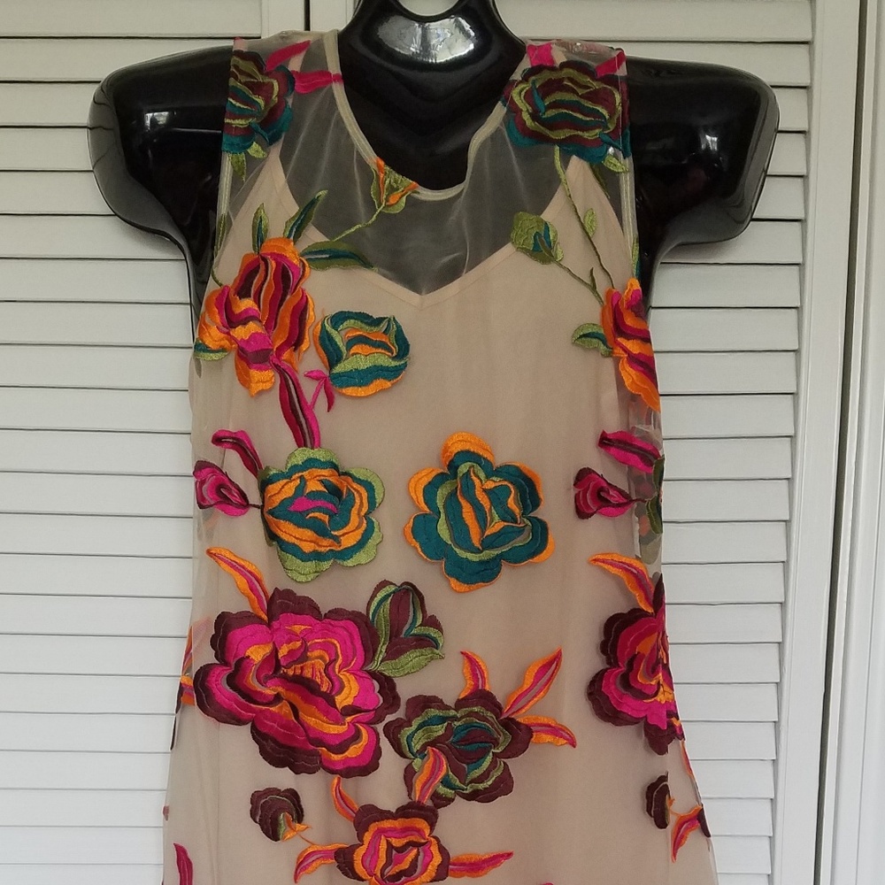 NWT Alexia Admor  Sheer Sleeveless Dress, Large
